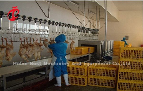 220V Broiler Processing System 4kw , Ss 304 Chicken Slaughter Equipment ...