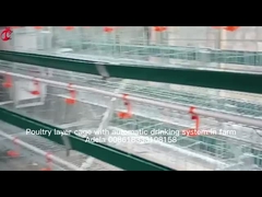 Most Popular Battery Cage Price In Nigeria Poultry Farming Hot Galvanized Adela
