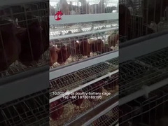 Nigeria Warehouse Premium And Deluxe Poultry Battery Cage System For Layer Chickens  Sandy
