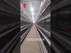 H Type Modern 25000 Birds Automatic Chicken Cage Equipment Emily