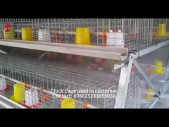 Hot Galvanized Automatic Pullet Baby Chick Brooder Cage 192 Birds 1.2m Length Mia