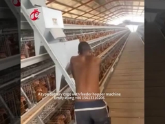 A Frame Animal Poultry Farming Battery Cage System Stable Structure 2022 Hot Selling Emily