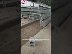 Commercial Chicken Layer Battery Cage System 2.0m*2.0m*1.45m In Nigeria Star