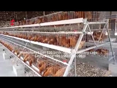 Hot Dipped Galvanized Layer Battery Cage System For Poultry Farm Q235 Steel Emily