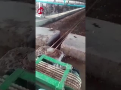5,000 Birds Chicken Farm Use Manure Removal Machine Mia