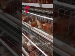 High Resilience Layer Cage System Hot Galvanized Low Carbon Steel In Africa Adela