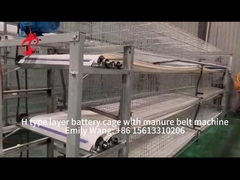 Electric Control Poultry Layer Cage System Layer Chicken Steel Cage Emily