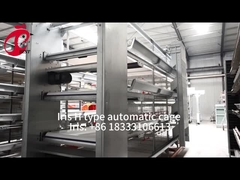 A H Type Automatic Laying Chicken Poultry Farming  Cage System In Africa Market Iris