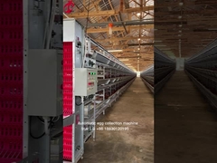 Turnkey Project Automatic Poultry Battery Cage System 3 Tiers 450cm2 Star