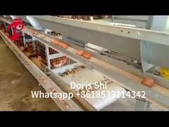 120-200 Chickens Capacity Layer Battery Cage System For 500 To 50000 Chicken Farm Doris