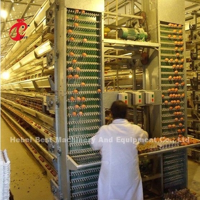 A H Type Full Automatic Chicken Battery Cage System With 25 Years Lifespan Star