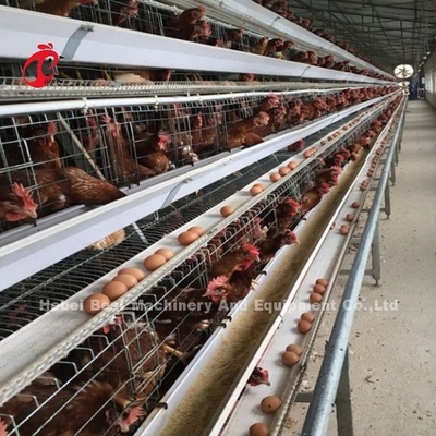 4 Tiers A Type Layer Cage System Automatic Drinking And Feeding Hot Galvanized Adela