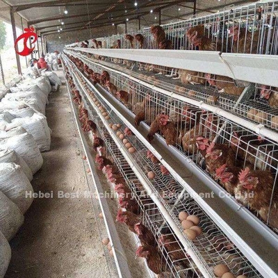 Chicken A And H Automatic Battery Cage System For Poultry Farming Breeding Sandy