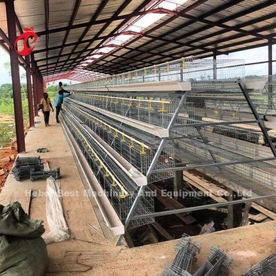 Cage Wire Diameter 2.8mm-3.5mm Layer Farming Cage System With Automatic Drinking System Adela