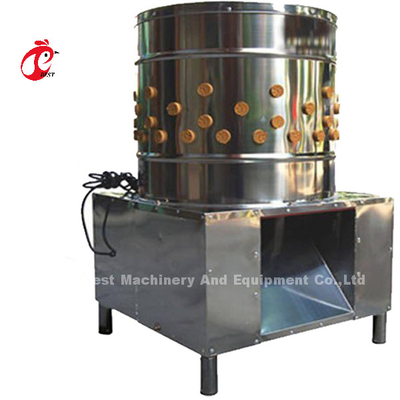 China Industrial Broiler Processing System Chicken Defeathering Machine Iris