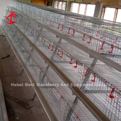 High Resilience H Type Broiler Cage Hot Galvanized Low Carbon Steel Adela