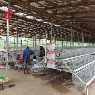 CE A Type 120 Birds Chick Rearing Cage With Drinkers And Feeders Star