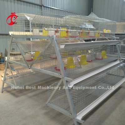 Q235 A Type 3 Tiers Pullet Chicken Cage Silver Galvanized Adela