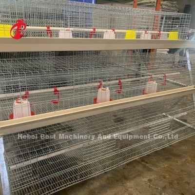 Q235 A Type 3 Tiers Pullet Chicken Cage Silver Galvanized Adela