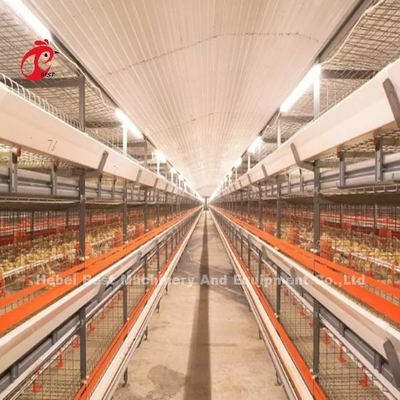 Intelligent Poultry Battery Cage System Semi Automatic And Automatic For Broilers Iris