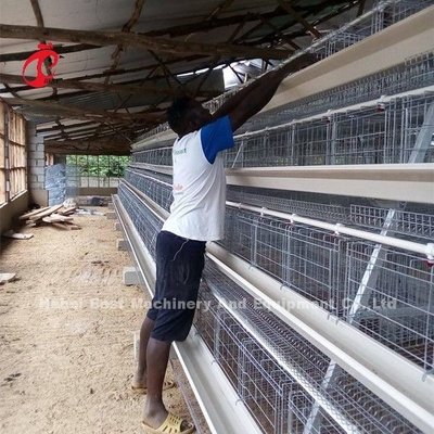 Chicken Farm 3 Tier Battery Cage System In Poultry Sandy