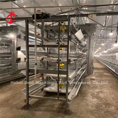 H Type 4 Tiers Poultry Farming Broiler Cage System With Manure Belt Ada