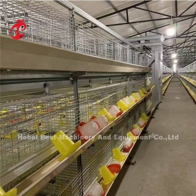 H Type 4 Tiers Poultry Farming Broiler Cage System With Manure Belt Ada