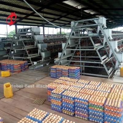 A H Type Full Automatic Poultry Farming Battery Cage System Star