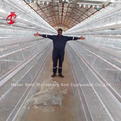 5 Tier 200 Birds Galvanized Poultry Layer Cage System For Chicken Farm Sandy