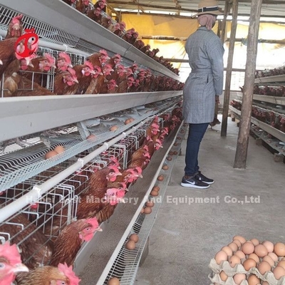 5 Tier 200 Birds Galvanized Poultry Layer Cage System For Chicken Farm Sandy