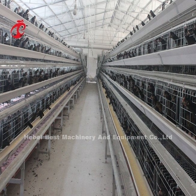2.8mm-3.5mm Cage Wire Diameter Poultry Farming Cage System for High Rearing Efficiency Adela