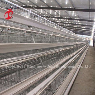 Stainless Steel Wire Battery Cage For Chicken 432cm2 Area Bird Adela