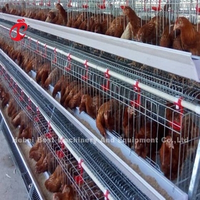 450cm2 H Type Automatic Chicken Battery Cage System With Feeder Adela