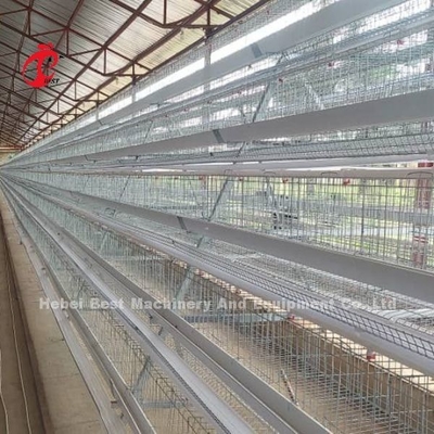 A Type Full Automatic Cage System For Layers Hot Dip Galvanized Adela