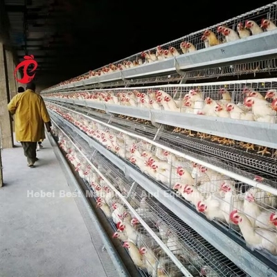 110kg Galvanized Steel Automatic Chicken Layer Cage Battery Layer Cage Doris