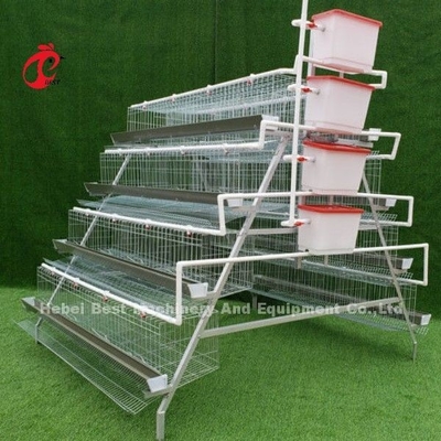 Hot dip Galvanized Poultry Battery Cage System For Layer Farm Sandy