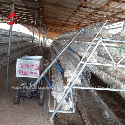 Q235 Wire Galvanized A Type Battery Cage For Layers Chicken Emily