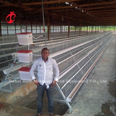 96 Birds And 120 Birds Chicken Battery Cage For Sale Star