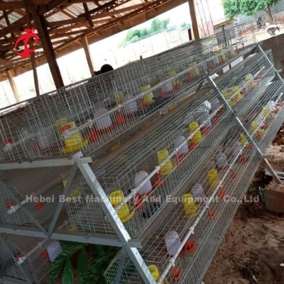 Gaiola Galvanizada Galvanizada a Quente para Venda no Escritório da Nigéria Iris