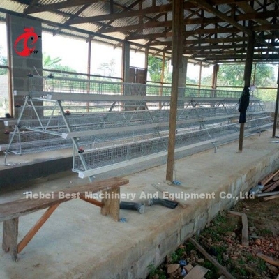 A Or H Type 3 Or 4 Tier Chicken Battery Cage For Poultry Chicken Farm Doris