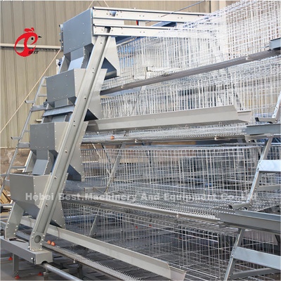 Bird Friendly Galvanized Steel Cage System For Layer Farming Rose