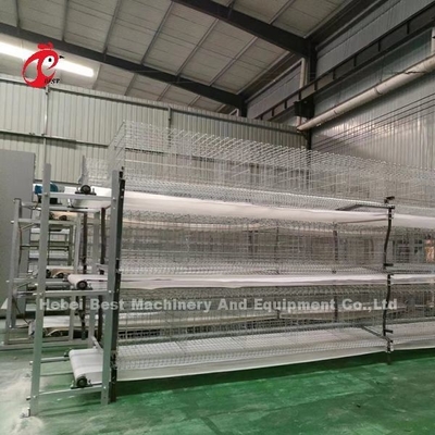 Cheap Type Hot Dip Layer Cages Cameroon Chicken Farm  Poultry Layer Cages For Sell Adela