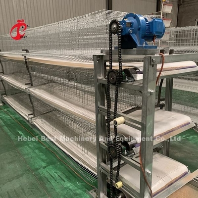 Chicken 12 Cells Layer Battery Cage System 4 Tier For Farm Adela