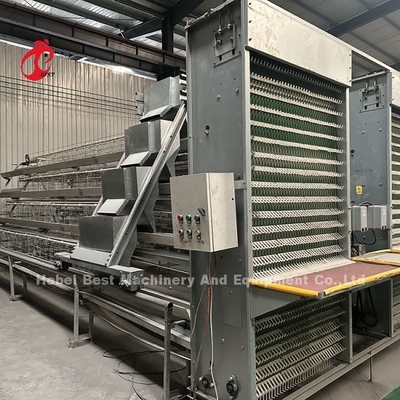 A Or H Type Automatic Chicken Cage Equipment Of Feeding Hopper Egg Collection System For 35,000 Birds Doris