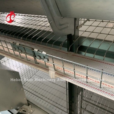 Automatic Chicken Cage Equipment Of H Frame 4 Tier Rearing Layer Cage For 50,000 Farm Doris Shi