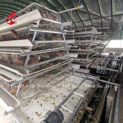 Automatic Manure Scraper And Belt Type Designed For Chicken Farm Sandy