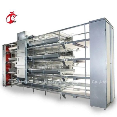 Modern H Type Automatic Chicken Cage Equipment For 25000 Birds Farm Emily