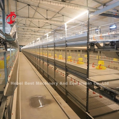 Practical 380V Chick Brooder Cage For Day Old Layer Grower Chicks In Africa Farm Iris