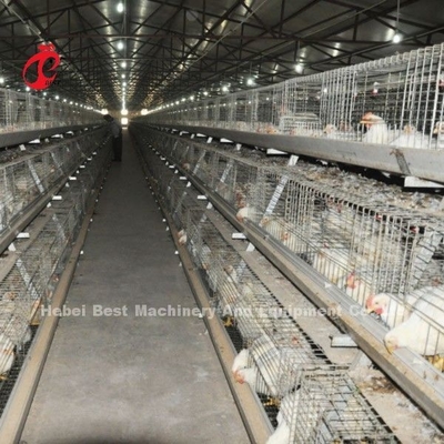 Stable A Or H Type Meat Broiler Cage System Fully Automatic Chicken Cage Doris Shi