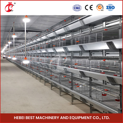 A H Type Full Automatic Brooder Chicken Cage System  Q235 Steel Rustproof Star